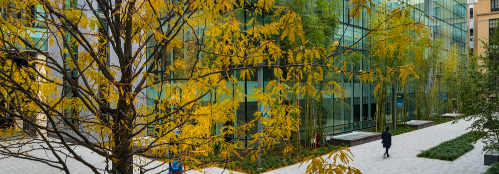 The MIT Nano building in the fall